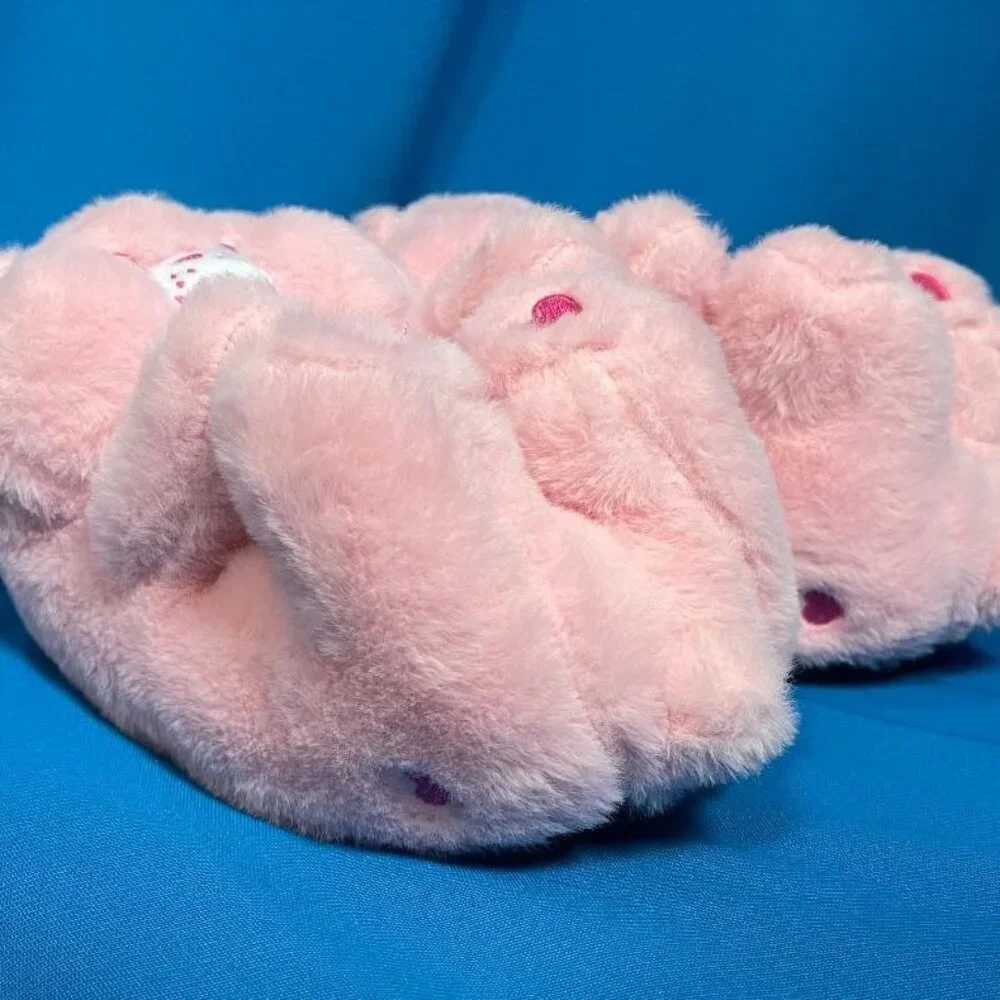 NWT & GREAT GIFT  ADORABLE CARE BEARS KIDS SLIPPERS SIZE XL 4 - 5 PINK ( CHEER )
